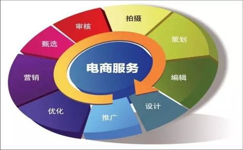 电子商务分哪类专业