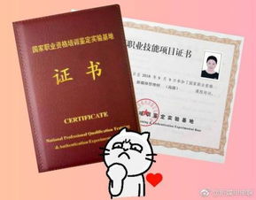 电子商务专业要考得证