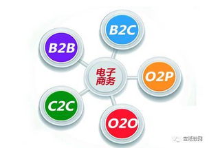 一个电子商务专业就业